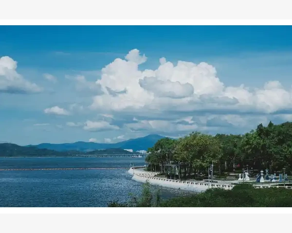 B2B采购流程核心环节与操作要点